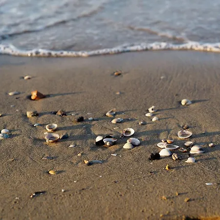 Seaside Getaway With Terrace In *